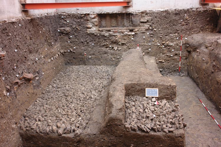 archeologo professionista Veneto